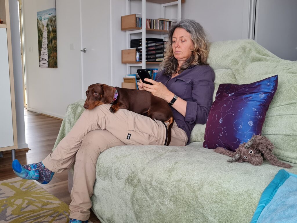 Small dachshund relaxing on its owner's lap on the couch.