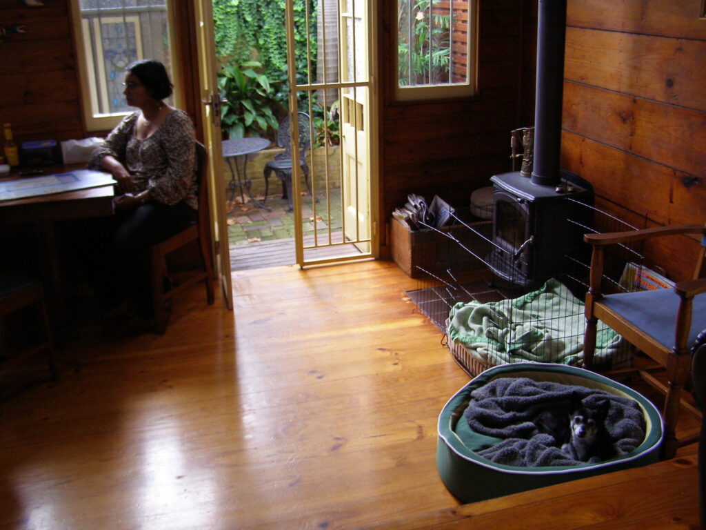 A small black and white mixed breed toy dog resting in a dog bed in a cosy wooden room while a woman sits nearby at a table.