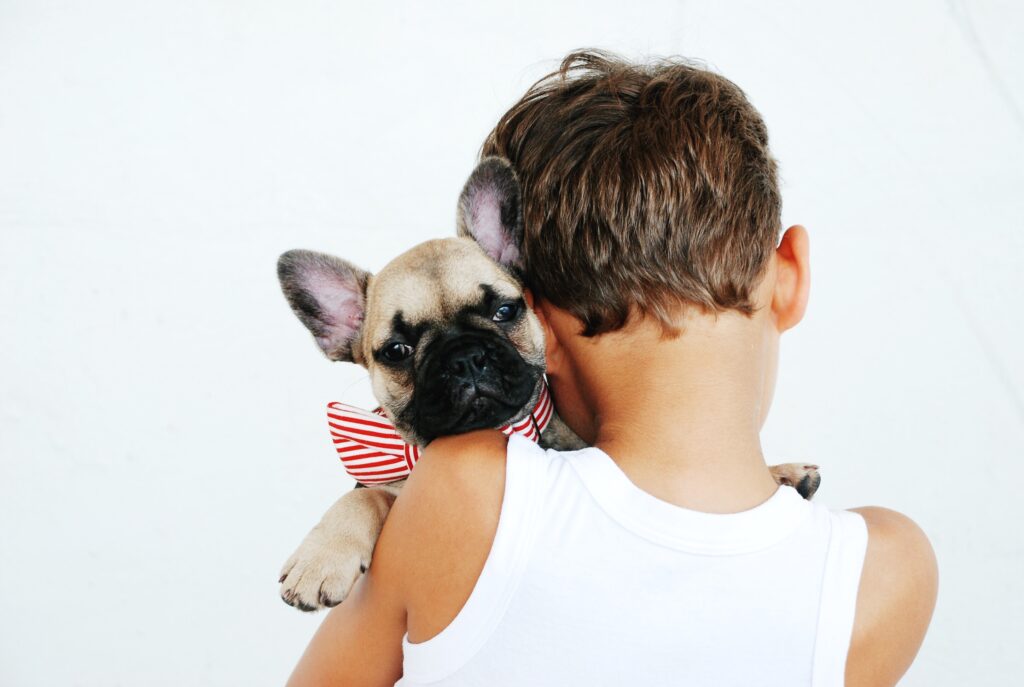Boy gently holding a small French Bulldog puppy close to their shoulder.