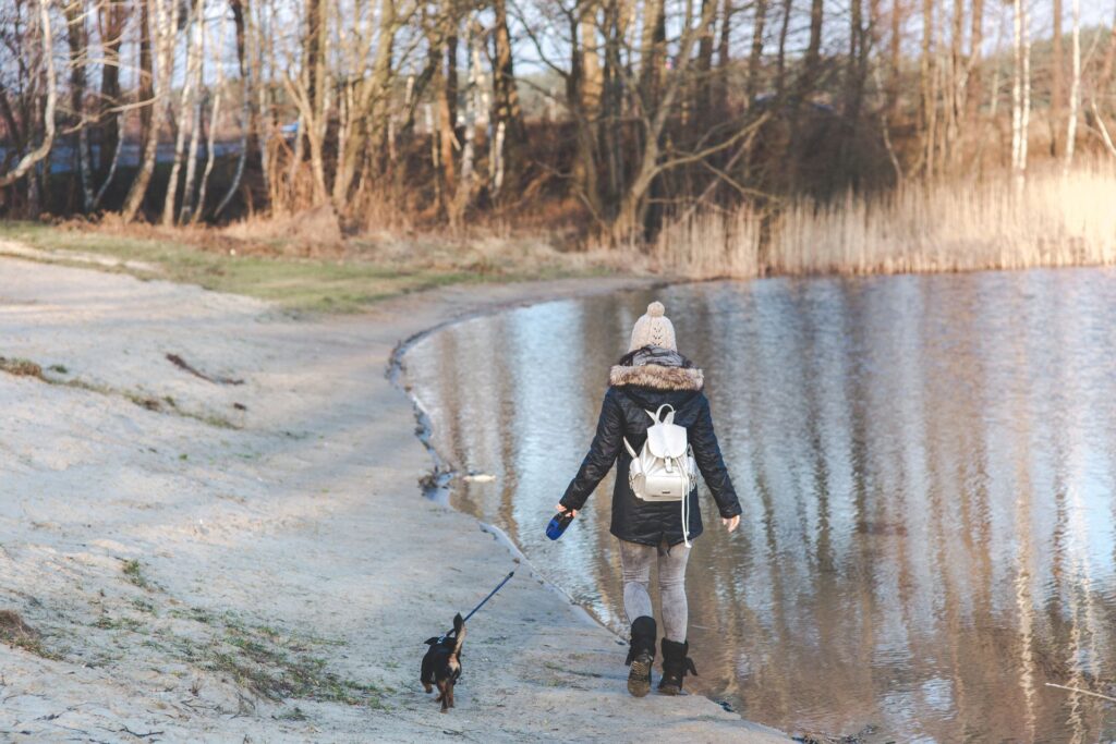 Woman walks her toy dog by a lake in cold weather.